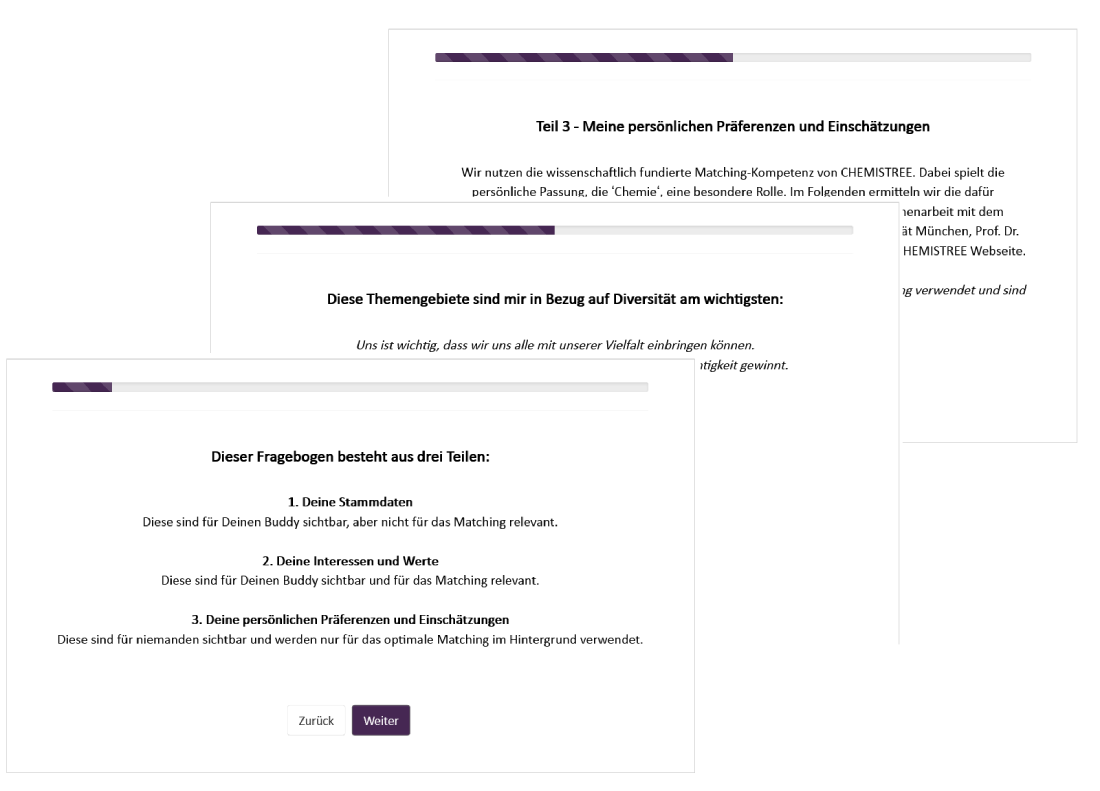 Onlinefragebogen - Beispiel